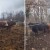 Prije četiri dana nestalo pet krava na području Svilaje
