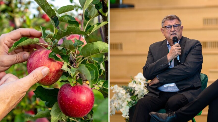 Branimir Markota: Tvrdnje o opasnosti "većine hrvatskih jabuka" nisu utemeljene