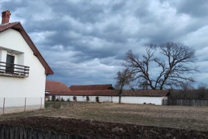Kiša u najavi, a onda porast temperature - uočene biljne bolesti na usevima