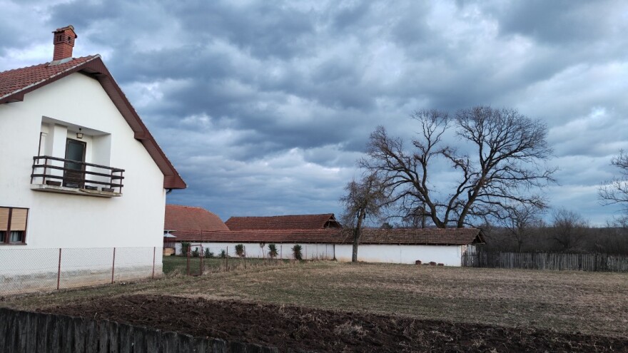 Kiša u najavi, a onda porast temperature - uočene biljne bolesti na usevima