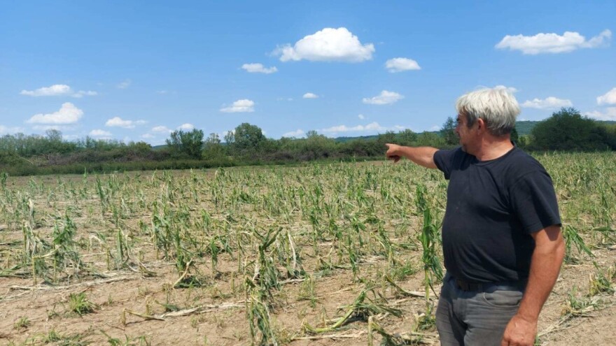 Šteta od grada u selima Velikog Gradišta je 100 posto: Sve oči uprte u opštinu