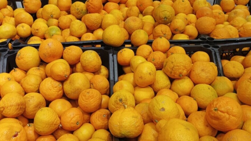 Zašto je mandarina kraljica među zimskim voćem?