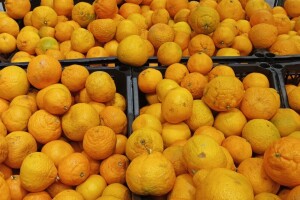 Zašto je mandarina kraljica među zimskim voćem?