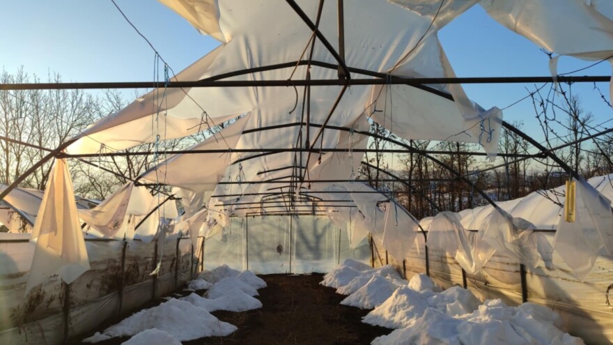 Pod težinom snijega polomljeni plastenici Avde Pedljića