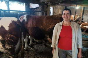 Sanela je 20 godina u stočarstvu: "Sve smo svorili sa svojih deset prstiju"