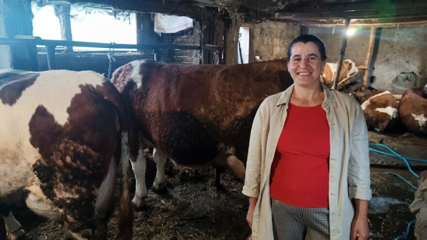 Sanela je 20 godina u stočarstvu: "Sve smo svorili sa svojih deset prstiju"