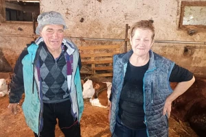 Nada i Rašo već 46 godina sa svojim kravama: "Lepo nam, za bolje ne znamo"