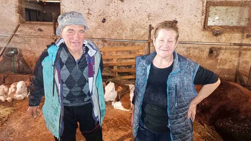 Nada i Rašo već 46 godina sa svojim kravama: "Lijepo nam, za bolje ne znamo"