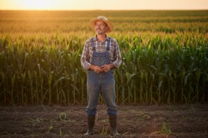 175 miliona dinara za poljoprivredu