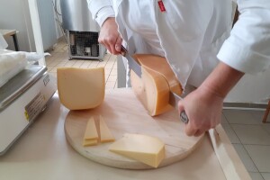 Tko su ovogodišnji šampioni kvalitete sireva i mliječnih proizvoda?