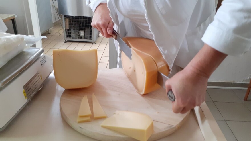 Tko su ovogodišnji šampioni kvalitete sireva i mliječnih proizvoda?