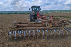 Bliži se setva uljane repice: Šta uraditi sada za vrhunske prinose?