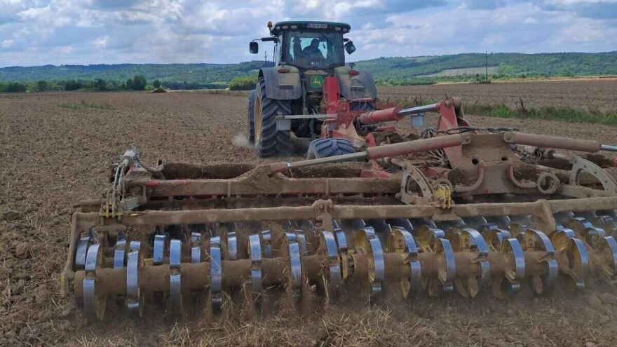 Bliži se sjetva uljane repice: Što učiniti sada za vrhunske prinose?