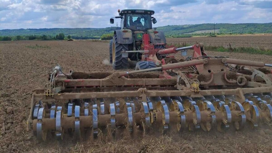 Bliži se sjetva uljane repice: Šta učiniti sada za vrhunske prinose?