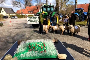 Zakon štiti vukove - nemački stočari protestuju