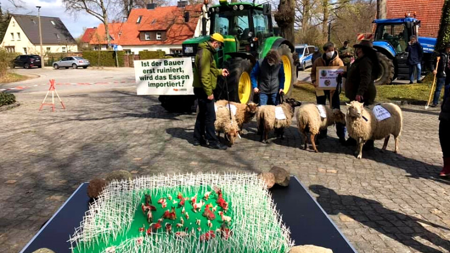 I njemački stočari u problemu zbog vukova - prosvjeduju pod motom "5 do 12 je"