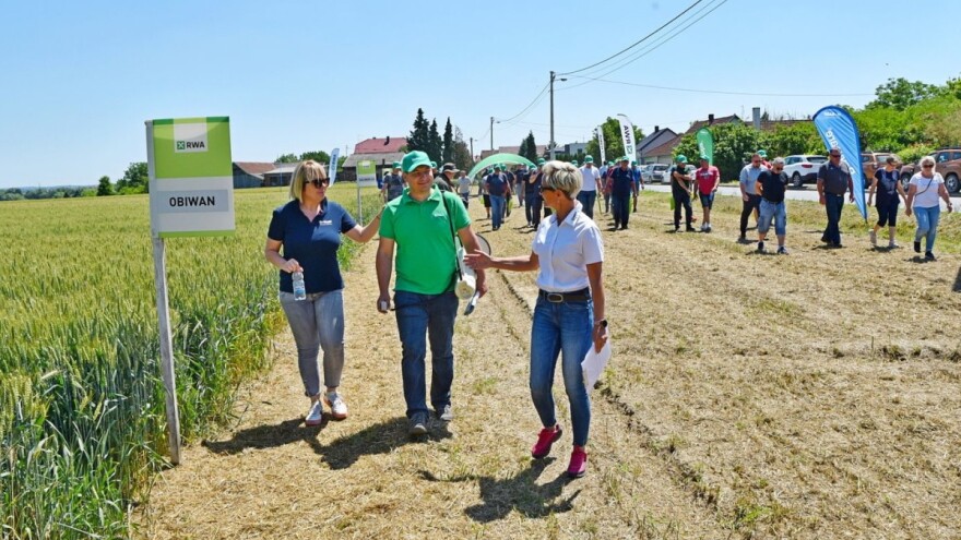 Potvrđeno na Danu polja u Gudovcu: RWA sorte pšenice daju stabilne prinose i u težim uvjetima