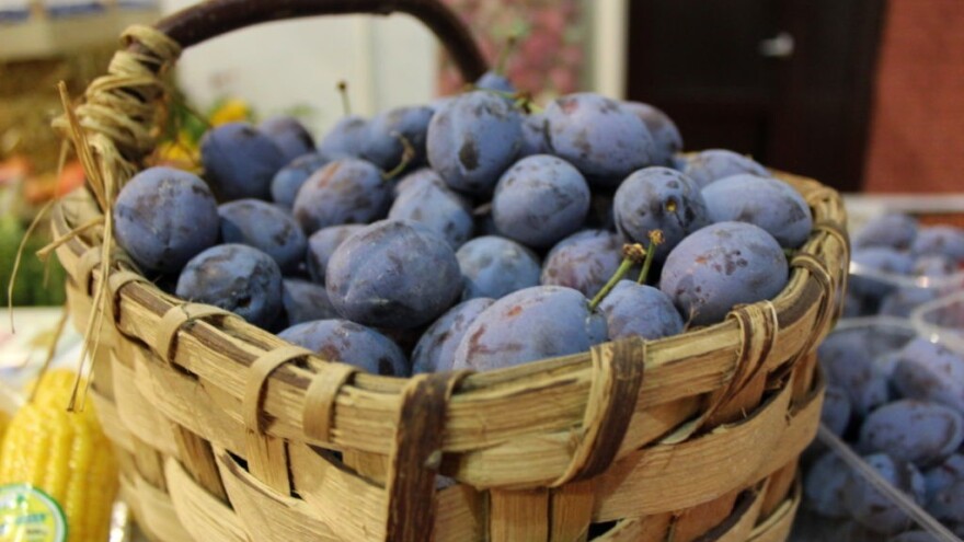 Šta nam ove godine donosi Sajam šljive u Gradačcu?