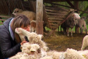 Prije 20 godina skoro završila u Australiji, sad je u finalu za najbolju mladu poljoprivrednicu