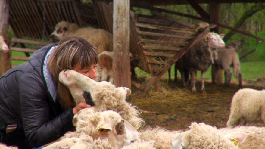 Prije 20 godina skoro završila u Australiji, sad je u finalu za najbolju mladu poljoprivrednicu