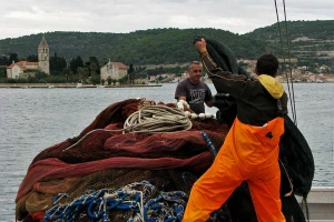 Epidemija pogađa i domaće ribare, zaustavljen izvoz srdele