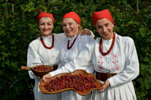 Visoki prinosi Tayberry-a na OPG Humljak u Zagorju