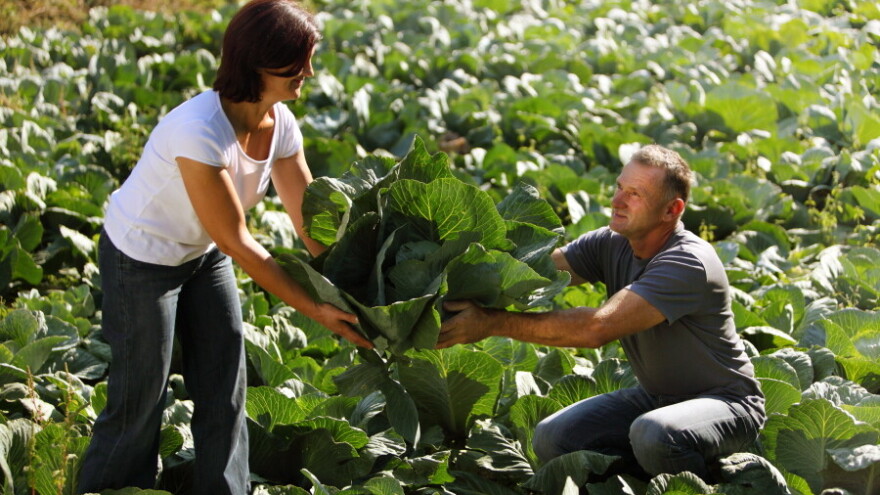 Eko Klanac: Očuvali djedovinu i uspješno spojili eko poljoprivredu i turizam