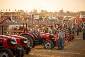 19. jesenski međunarodni bjelovarski sajam