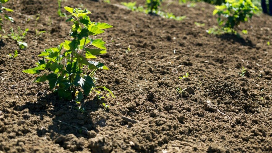 LAG Sava raspisao natječaj za male poljoprivrednike vrijedan gotovo 2 milijuna kuna