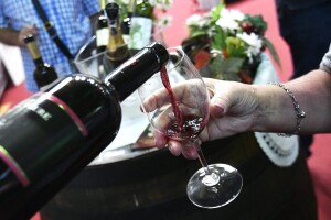 Ususret 56. Izložbi vina kontinentalne Hrvatske ocijenjeno više od 270 uzoraka, ovo su najbolji
