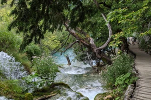 e-Savjetovanje: Program financiranja ekološke mreže Natura 2000 i Prioritetni akcijski okvir