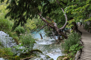 e-Savjetovanje: Program financiranja ekološke mreže Natura 2000 i Prioritetni akcijski okvir
