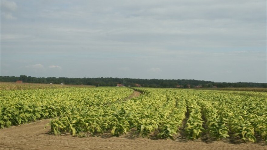 Saditi duhan i zaraditi