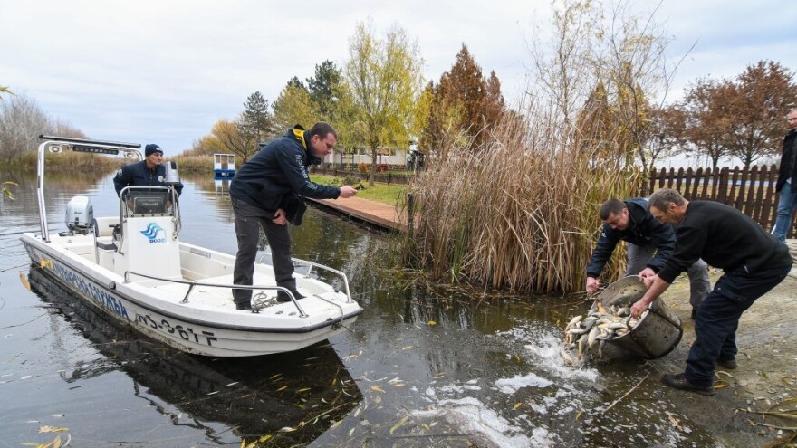 Ribolovne vode poribljene sa više od 17 tona mlađi