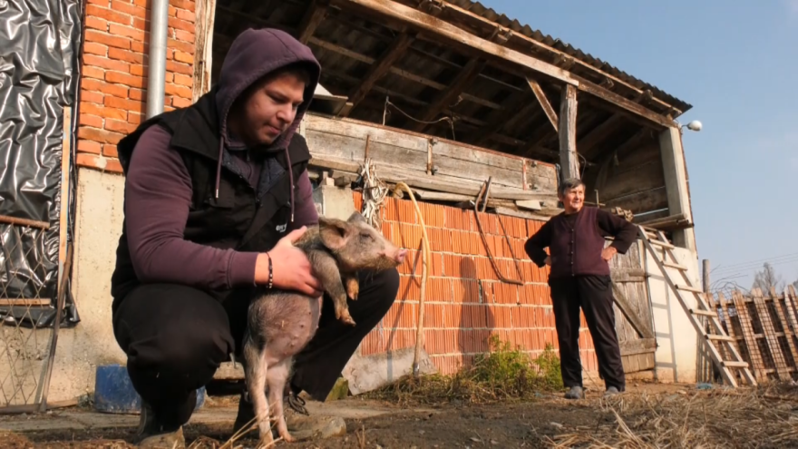 Imanje je naslijedio od djeda, a u uzgoju fajferica baka mu je desna ruka