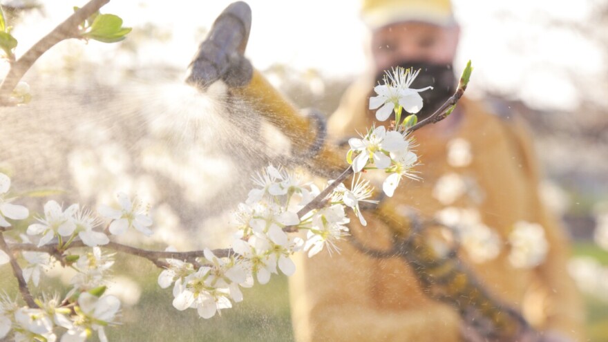 Tretirajte i šljivu i trešnju, evo kojim preparatima