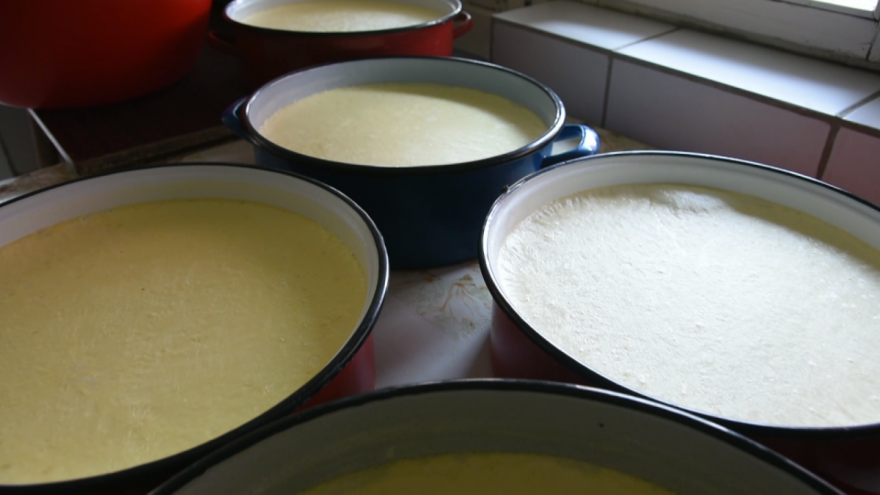 Kraljevački kajmak: Tradicija pravljenja ili savremena proizvodnja?