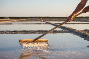 2. Festival soli u Ninu