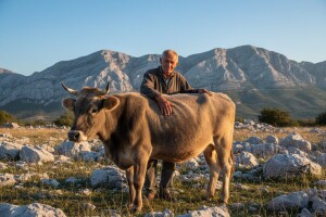 2. Radionica za uzgajivače autohtonih pasmina