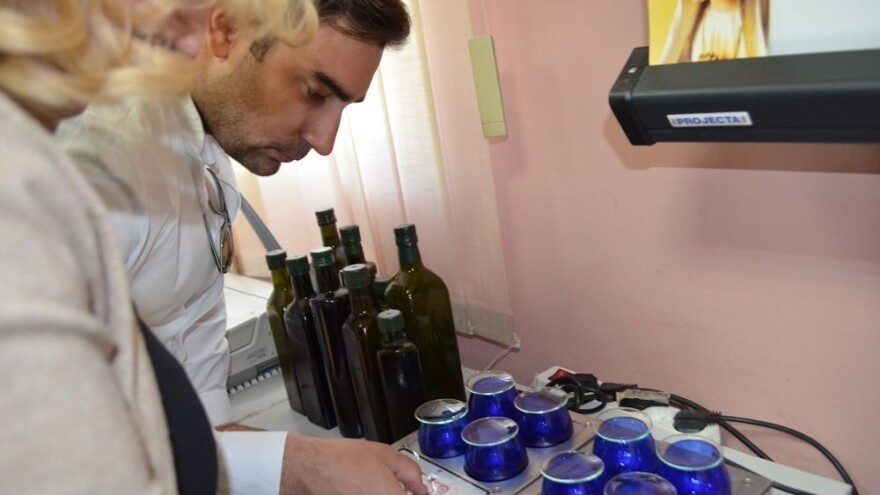 Ocijenjena maslinova ulja za Dane maslina: gotovo dvostruki broj pakovina - nijedno ulje nije lampante