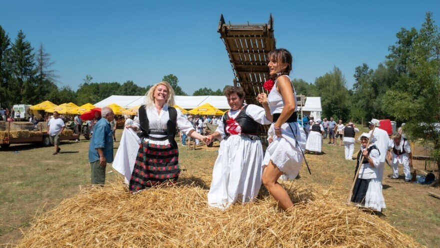 Baš kako su radili naši stari, održano jubilarno 20. Ploščićko mašinanje