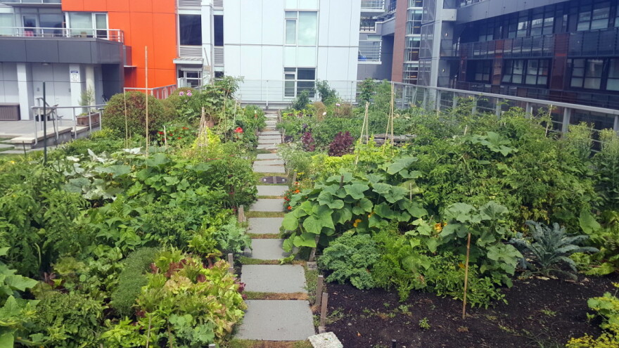 Neiskorišteni gradski prostori mogu biti vrtovi i voćnjaci koji će prehraniti stanovništvo