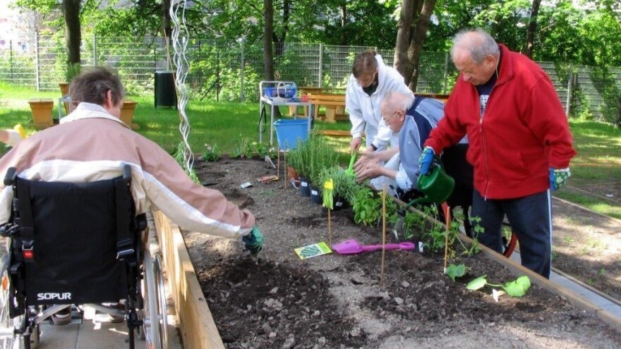 Bečko baštovanstvo iza ćoška spriječava komšijske nesuglasice