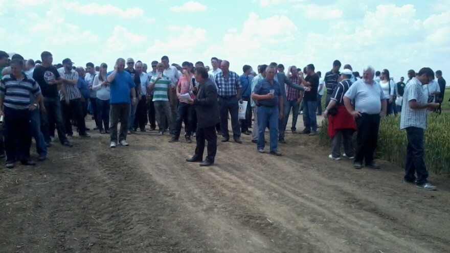 Oni su svojim zlatnim klasovima već pokorili Europu