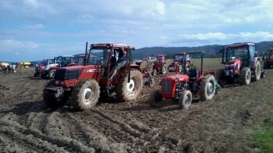 Naravno da blato ne smeta hrvatskim oračima