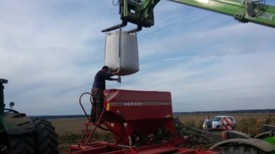 Više cijene pšenice i kukuruza!