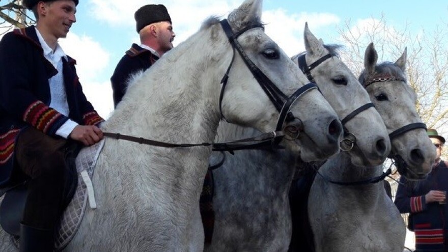 Soljani otvorili sezonu pokladnih jahanja