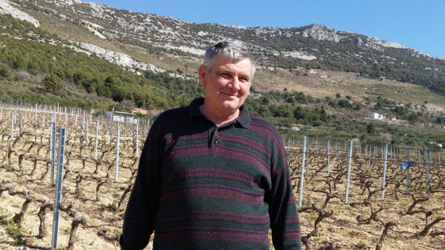 5.000 loza Plavca malog kod agronoma Remetina