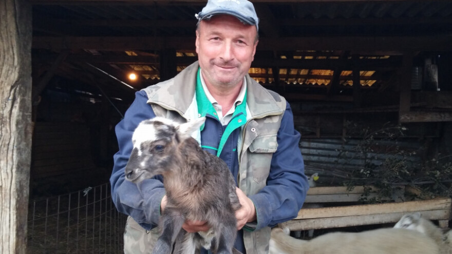 Napornim radom na ovčarskoj farmi hrani obitelj