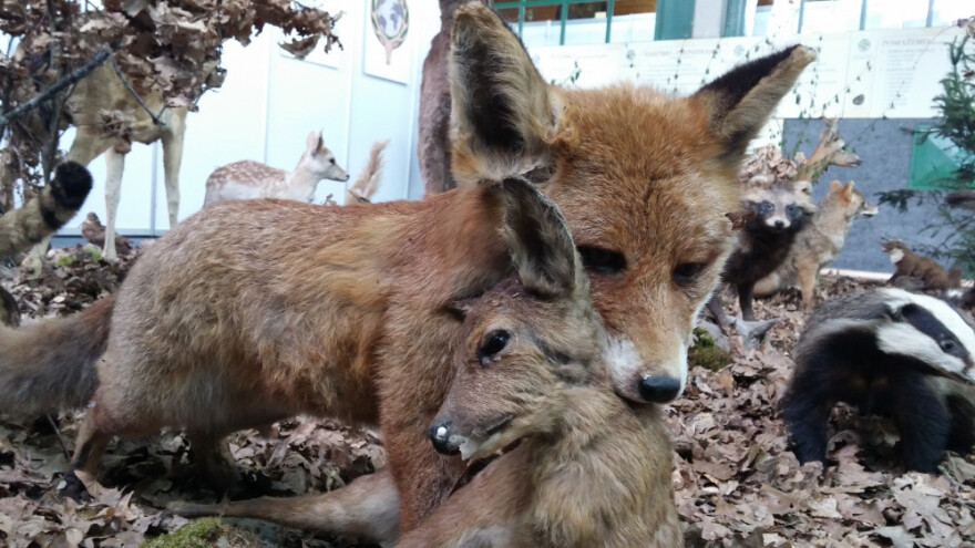 Salori potiče razvoj lovnog i ribolovnog turizma